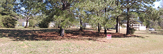 Nearly 3 Quarters of an Acre in Beautiful Peach State