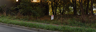 Perfect Land Deal Near Burtis Bay