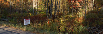 Quiet Acreage in Upstate New York