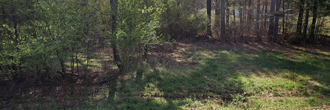 Gorgeous 2 Acres Outside of Woodbury