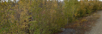 Rare Alaska Acreage With Road Access