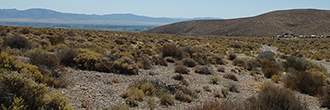 Over 40 Acres in Western Nevada