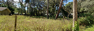Small Lot in Anthony