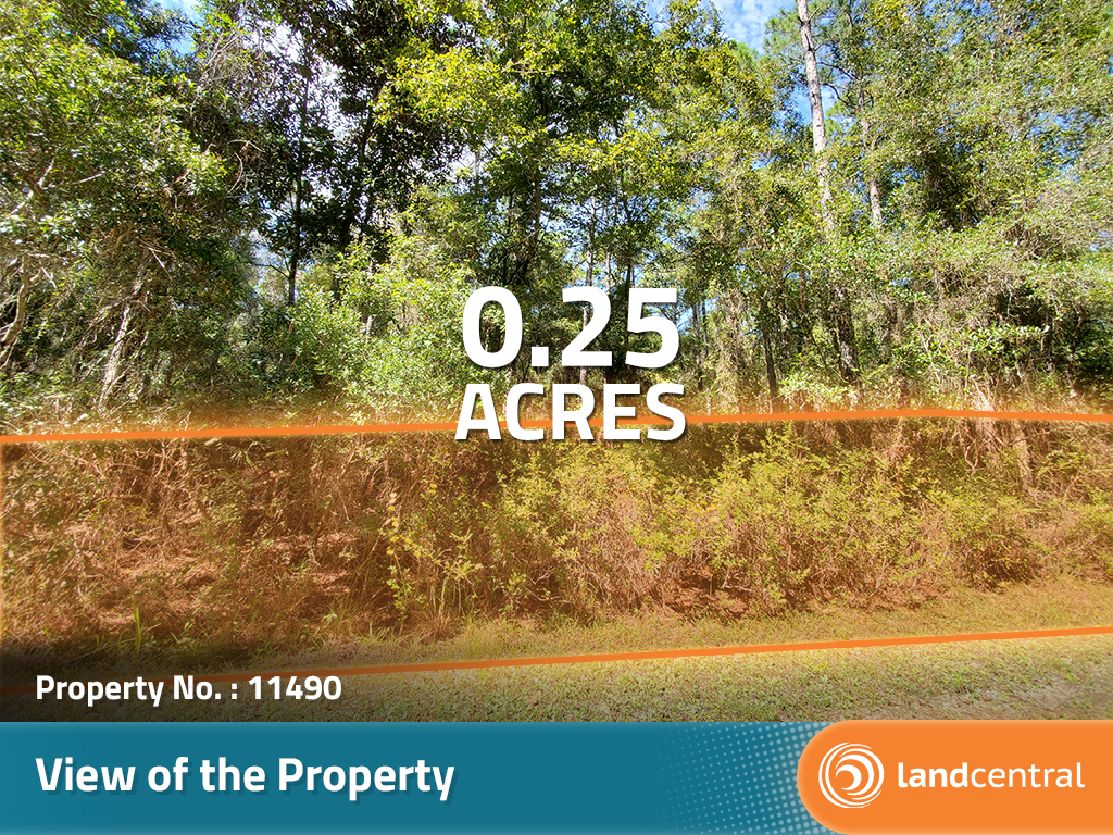 Gorgeous, ready to build on property in the hidden horse town of Florida11