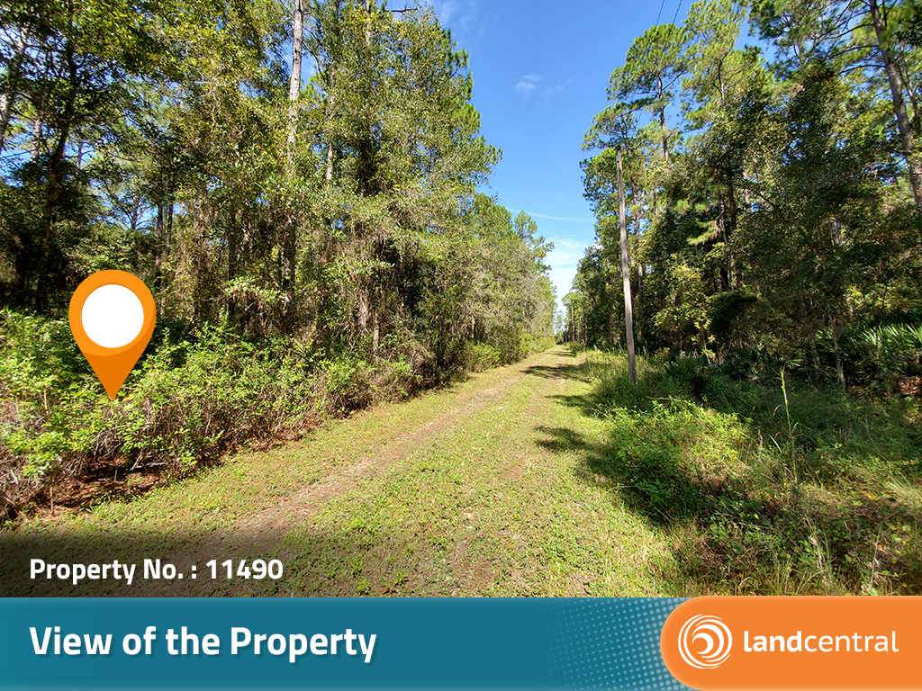 Gorgeous, ready to build on property in the hidden horse town of Florida4