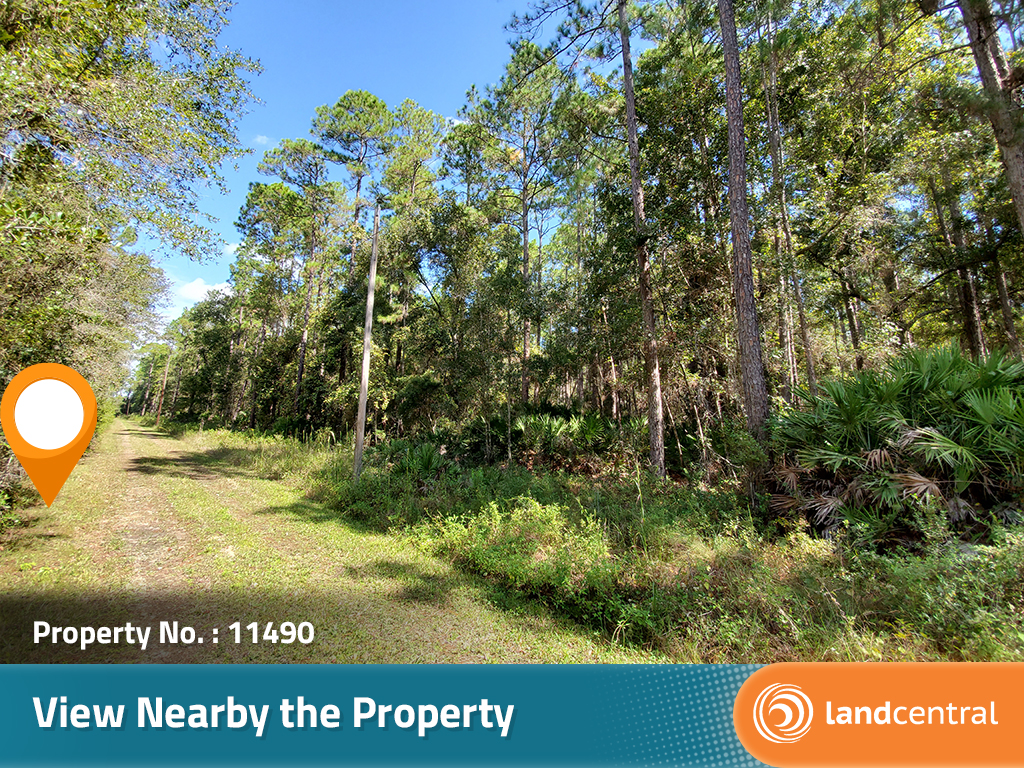Gorgeous, ready to build on property in the hidden horse town of Florida6