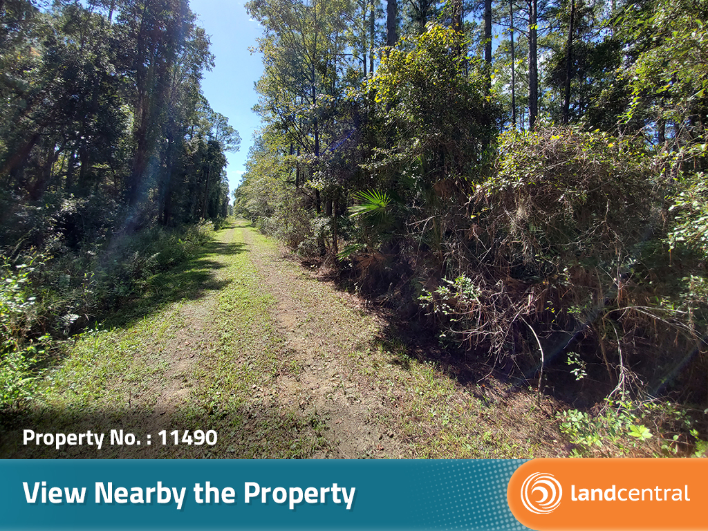 Gorgeous, ready to build on property in the hidden horse town of Florida9
