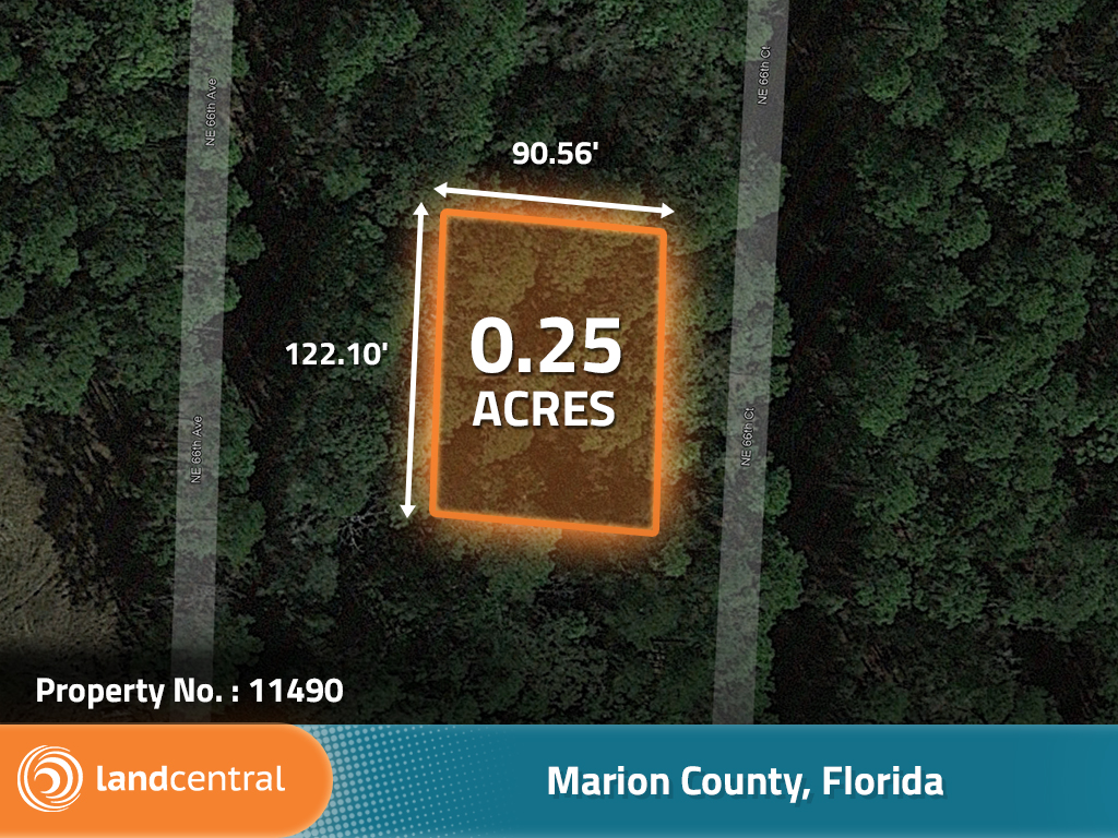 Gorgeous, ready to build on property in the hidden horse town of Florida1