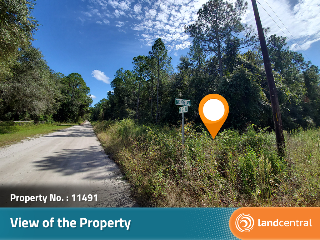 Beautiful corner lot in the rural part of Ocala in central Florida4