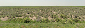 Southern Colorado Homesite Retreat