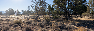 1.56-Acre Property Less than 7 Miles North of Alturas
