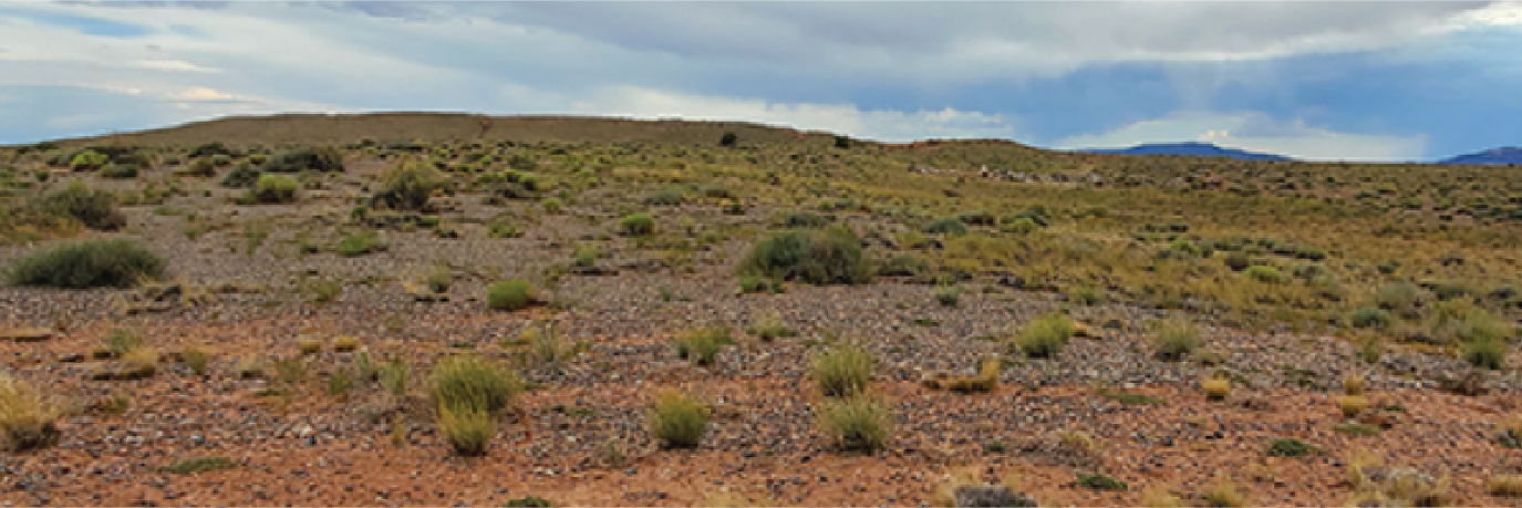 Forty Acres For Your Tiny Home or RV