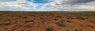 Forty Acres One Hour Outside Flagstaff AZ