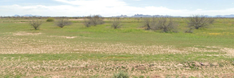 Charming Lot Surrounded by Desert Beauty