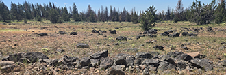 Off Grid Living on Spacious Land