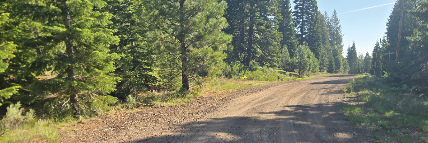 Roughly an Acre of Private Refuge