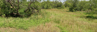 Nearly a Quarter Acre in Sweetwater Texas