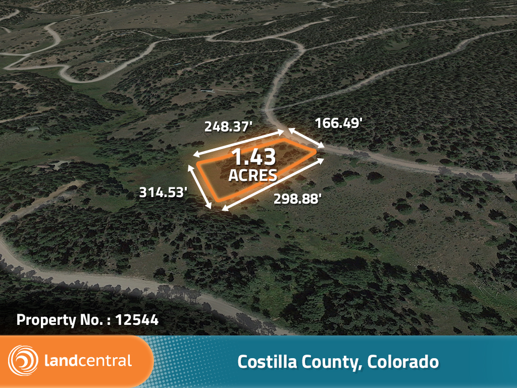 Cast the Perfect Line in Costilla County, Colorado2