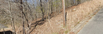 Sweet Land Deal in Appalachian Foothills