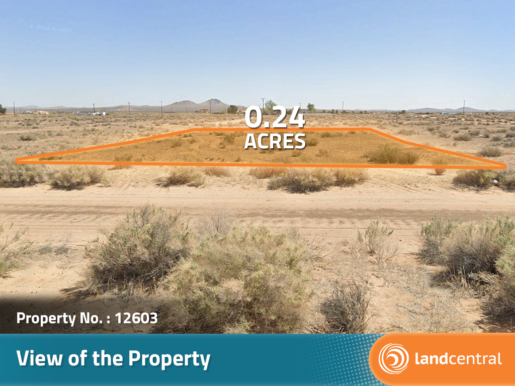 Investment Lot on the Outskirts of California City7