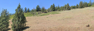Nearly 3 acres of great land walking distance to Iron Gate Reservoir