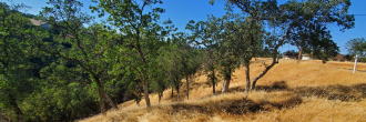 California Land with Endless Possibilities Close to Lake California