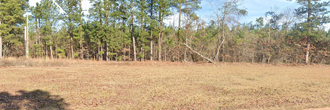 Gorgeous acre property just minutes from Lake Sinclair