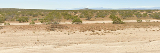 1.85 Acres of Wide-Open Mojave Desert – Your Off-Grid California Escape