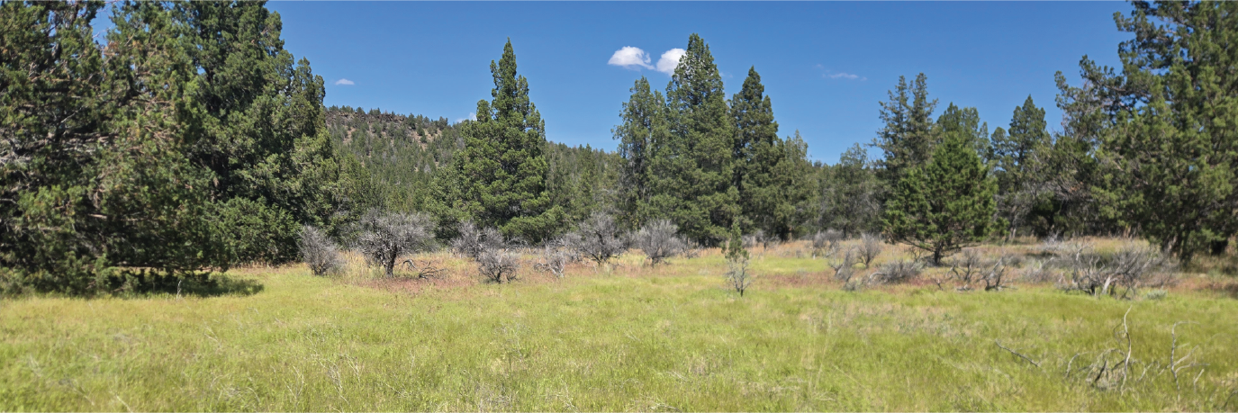 Come enjoy the endless beauty of far north CA at this great property