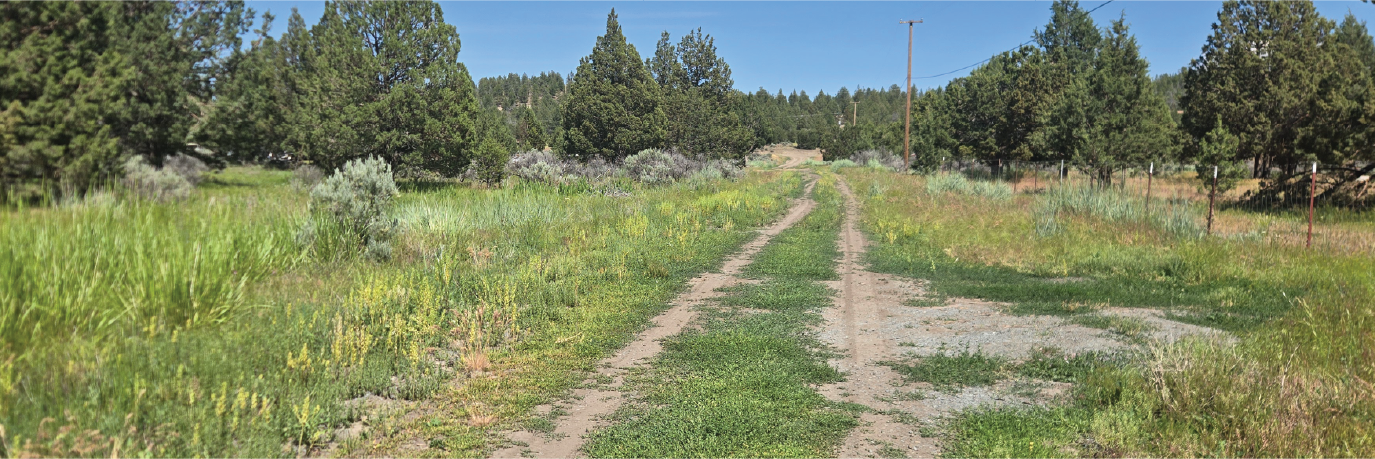 About an acre and a half of gorgeous land on the outskirts of Alturas
