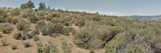 2.5 acres in Northern California just south of the Oregon border