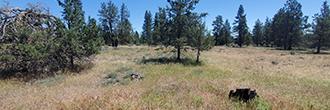 One Acre Lot in Beautiful Northern California