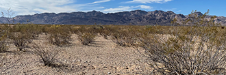 Over 2 acres in Golden Valley