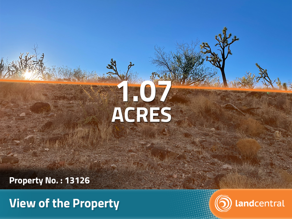 Over an acre in beautiful Arizona only 90 minutes from Las Vegas7