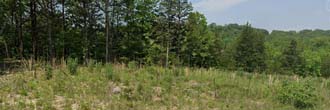 Over 5 acres near Lake of the Ozarks