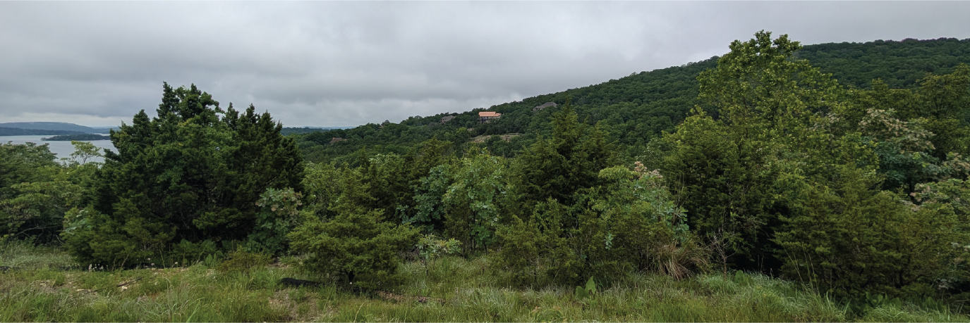Half an acre backed up to Table Rock Lake