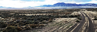 Over 48 acres of space in beautiful Nevada