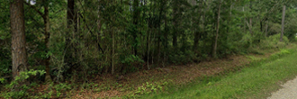Possibilities Galore on Quarter Acre of Southern Land