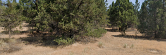 Picturesque 1 Acre in Southern Oregon