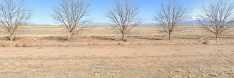 Half an Acre in Southeastern Arizona