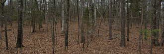 Nearly Half an Acre Near Greers Ferry Lake – Build or Invest with Ease