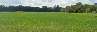 Good sized lot in a small neighborhood with plenty of privacy