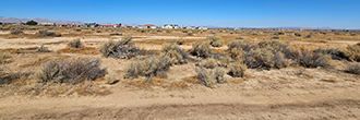 Spacious Lot Outside of California City