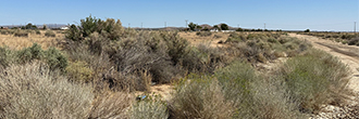 Beautiful Corner Lot in Sunny California