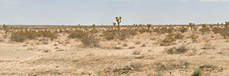 Over 2.5 acres of amazing California desert perfection.