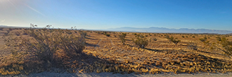 Two and half acres of amazing California desert property