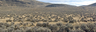 40 acres of vast beauty in Oregon just north of the Nevada border.