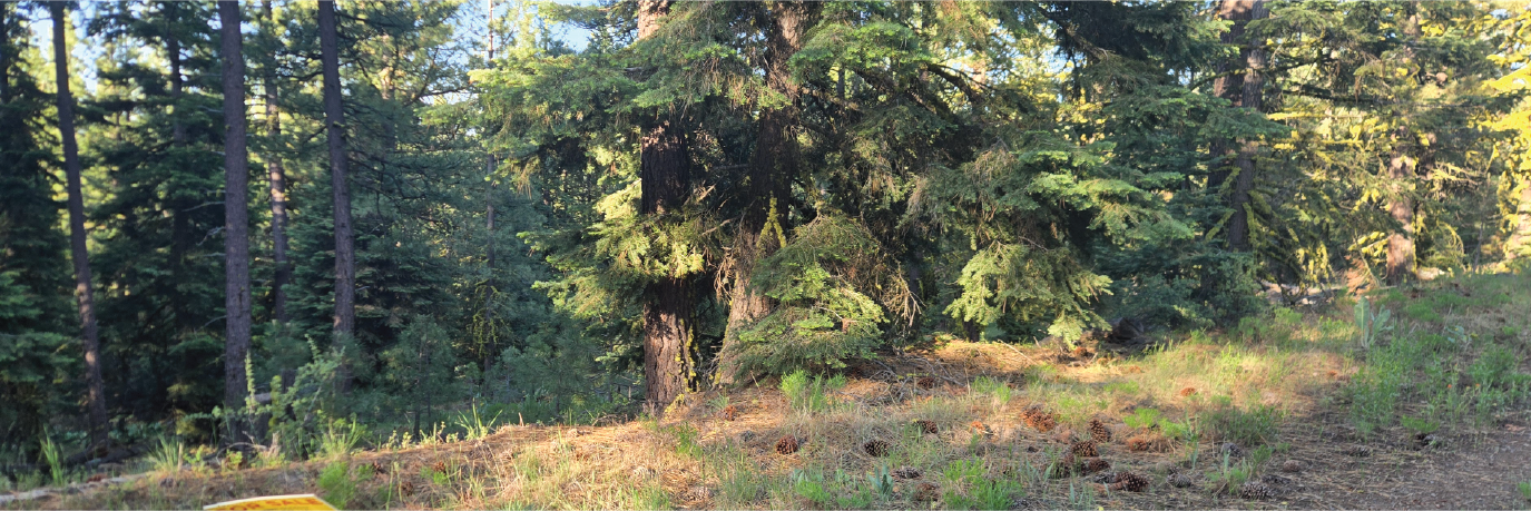 Discover the beauty of Northern California