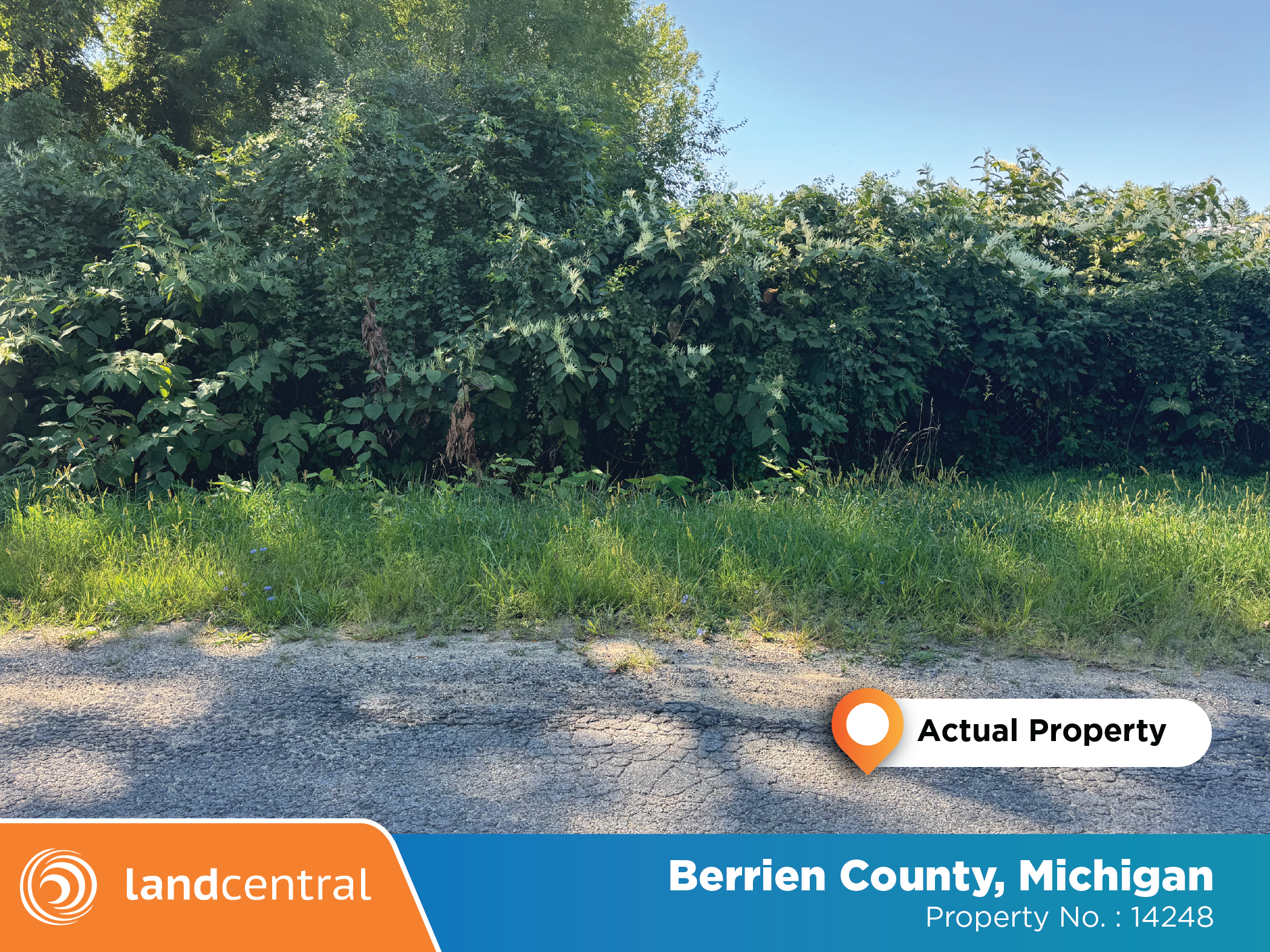 Quarter of an acre in a quiet part of a lakeside town5