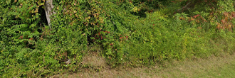 Quarter of an acre in a quiet part of a lakeside town